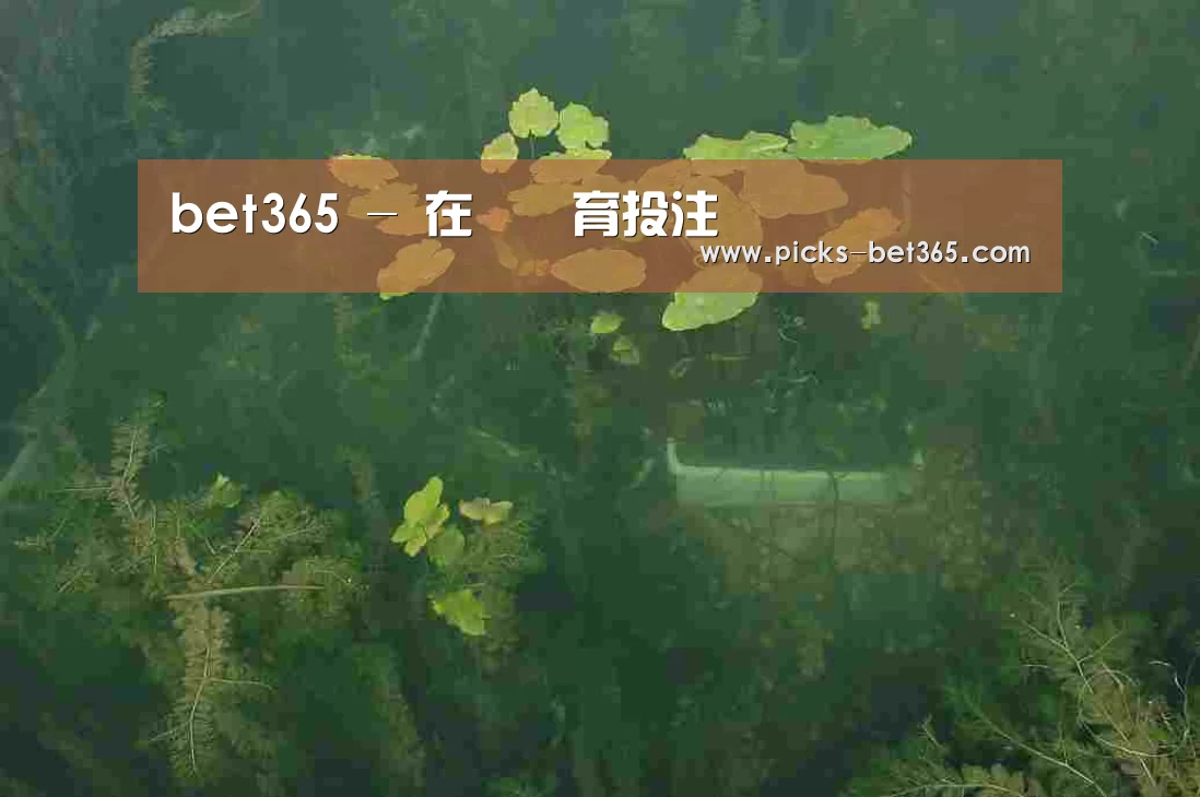 案例展示三(图1)