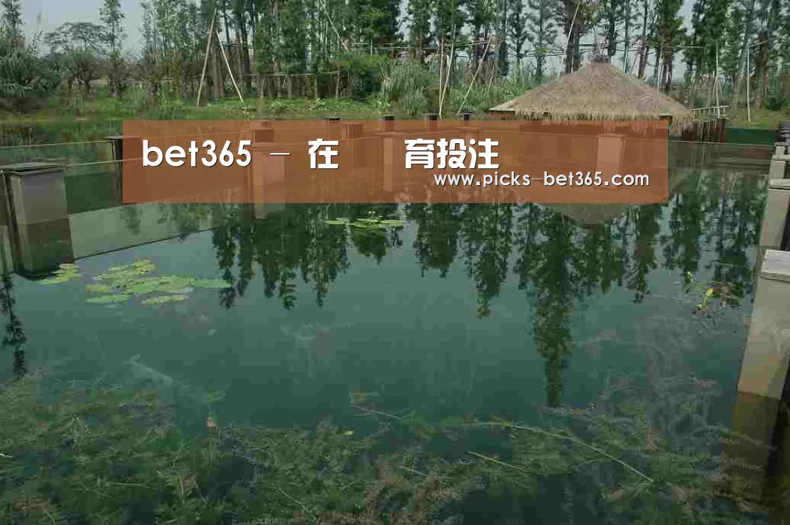 案例展示二(图1)