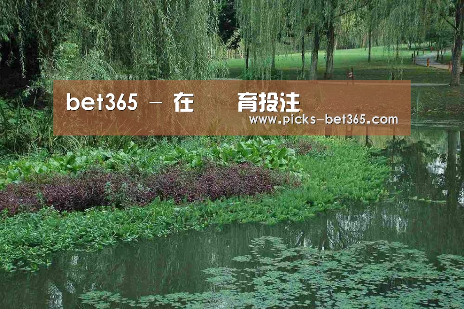 案例展示一(图1)