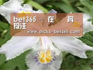 产品名称二