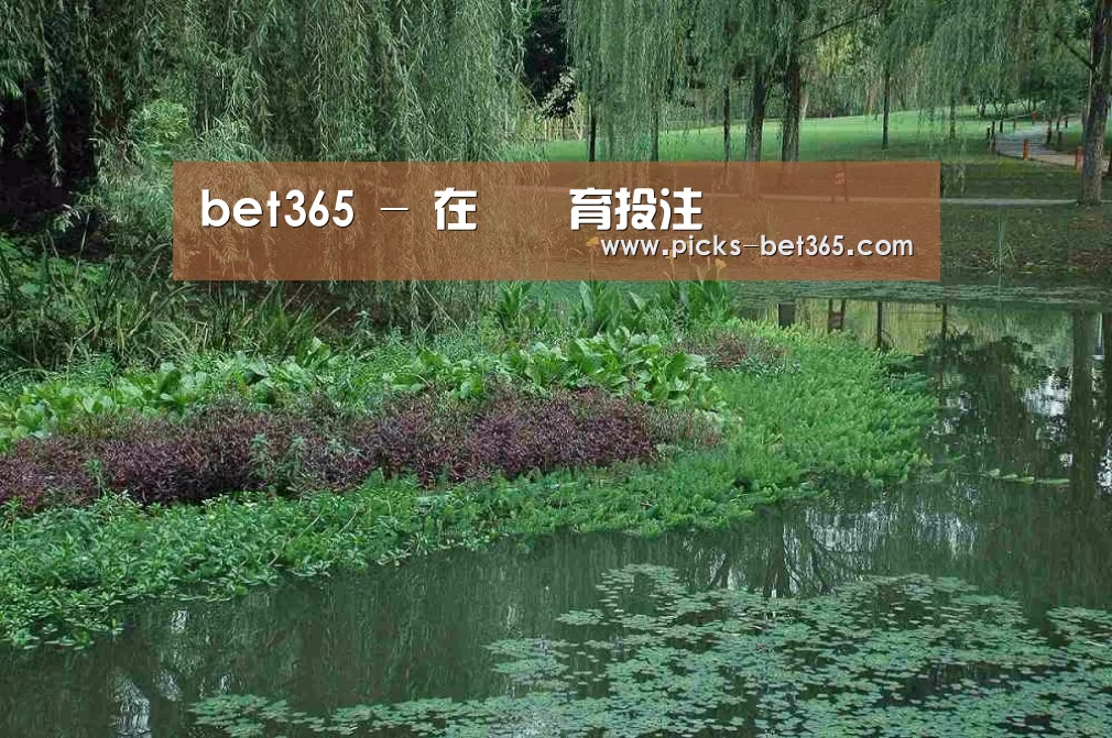 案例展示一