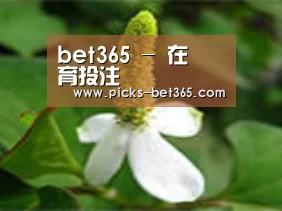 产品名称三