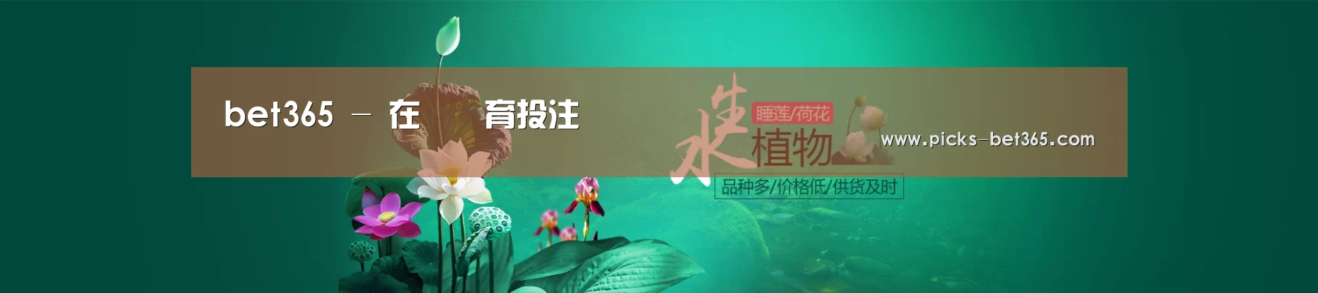 鲜花水草花卉网站模板