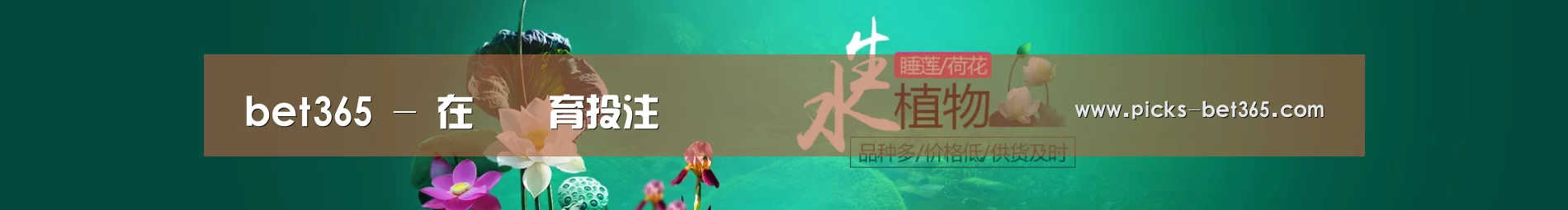 鲜花水草花卉网站模板
