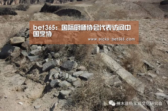 bet365体育app
